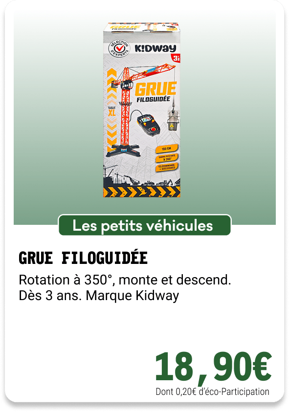 13 - GRUE FILOGUIDÉE